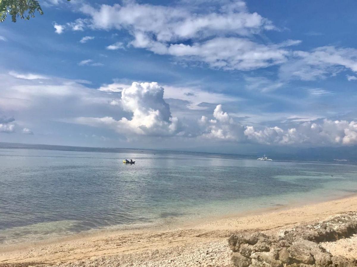 Southseas Beach Resort And Dive Center سانتاندير المظهر الخارجي الصورة